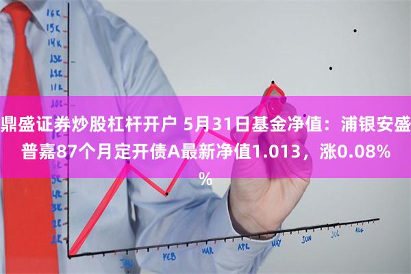 鼎盛证券炒股杠杆开户 5月31日基金净值：浦银安盛普嘉87个月定开债A最新净值1.013，涨0.08%