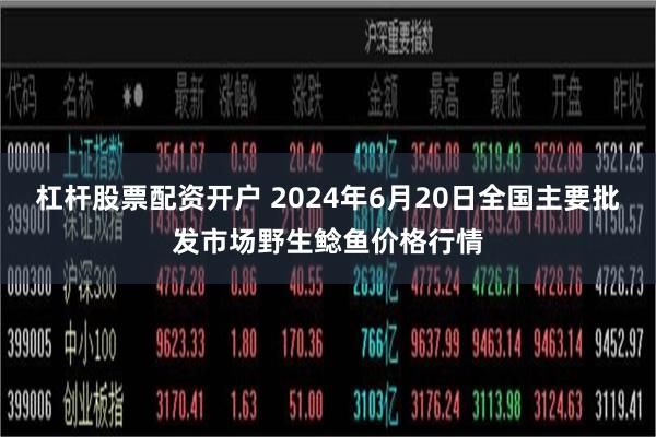 杠杆股票配资开户 2024年6月20日全国主要批发市场野生鲶鱼价格行情