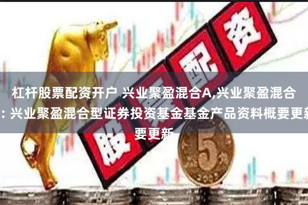 杠杆股票配资开户 兴业聚盈混合A,兴业聚盈混合C: 兴业聚盈混合型证券投资基金基金产品资料概要更新