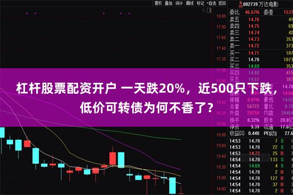 杠杆股票配资开户 一天跌20%，近500只下跌，低价可转债为何不香了？